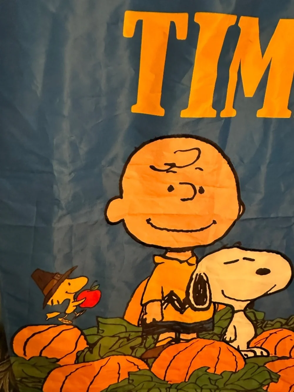 Peanuts/Charlie Brown & Snoopy Harvest/Fall House Flag/Banner 2014